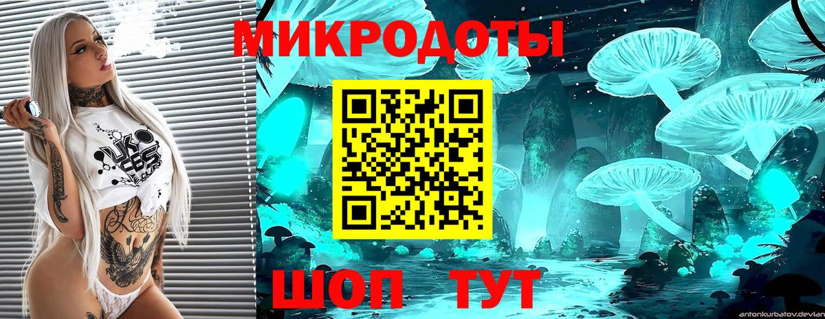 Выборг  Галлюциногенные грибы GOLDEN TEACHER  Вход с VPN 